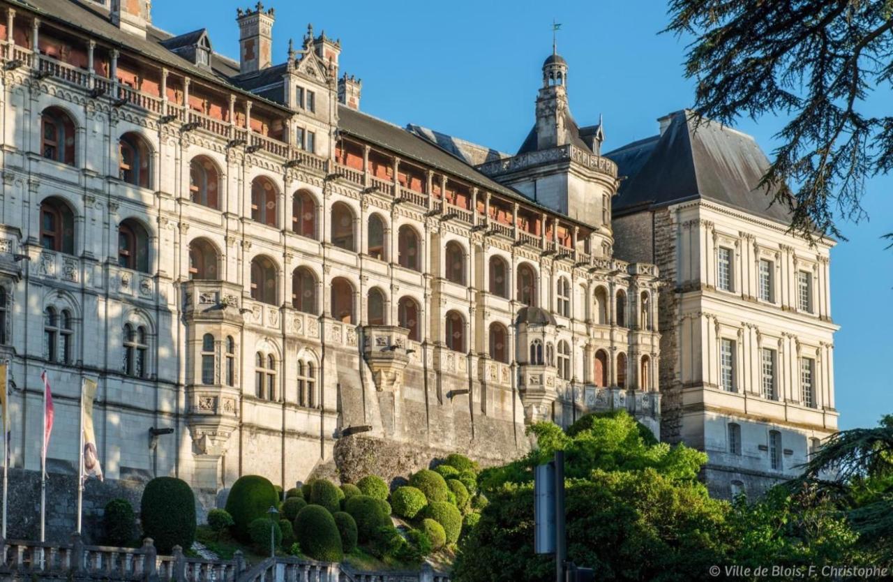 Charmant Appartement Au Coeur De Blois Esterno foto